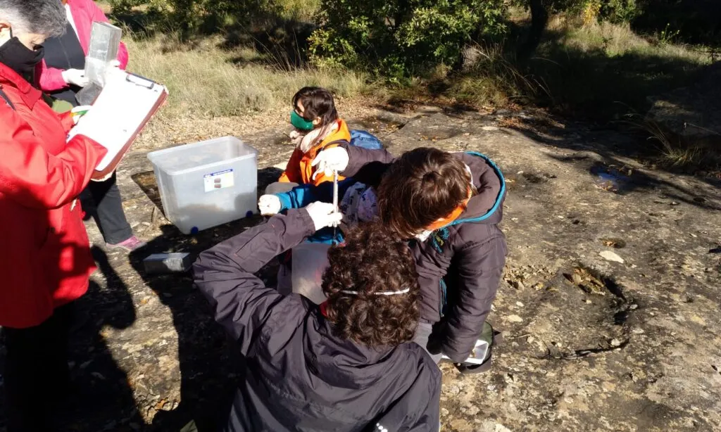 Seguiment de tardor de petits mamífers dut a terme per l'entitat als plans de Llobera.