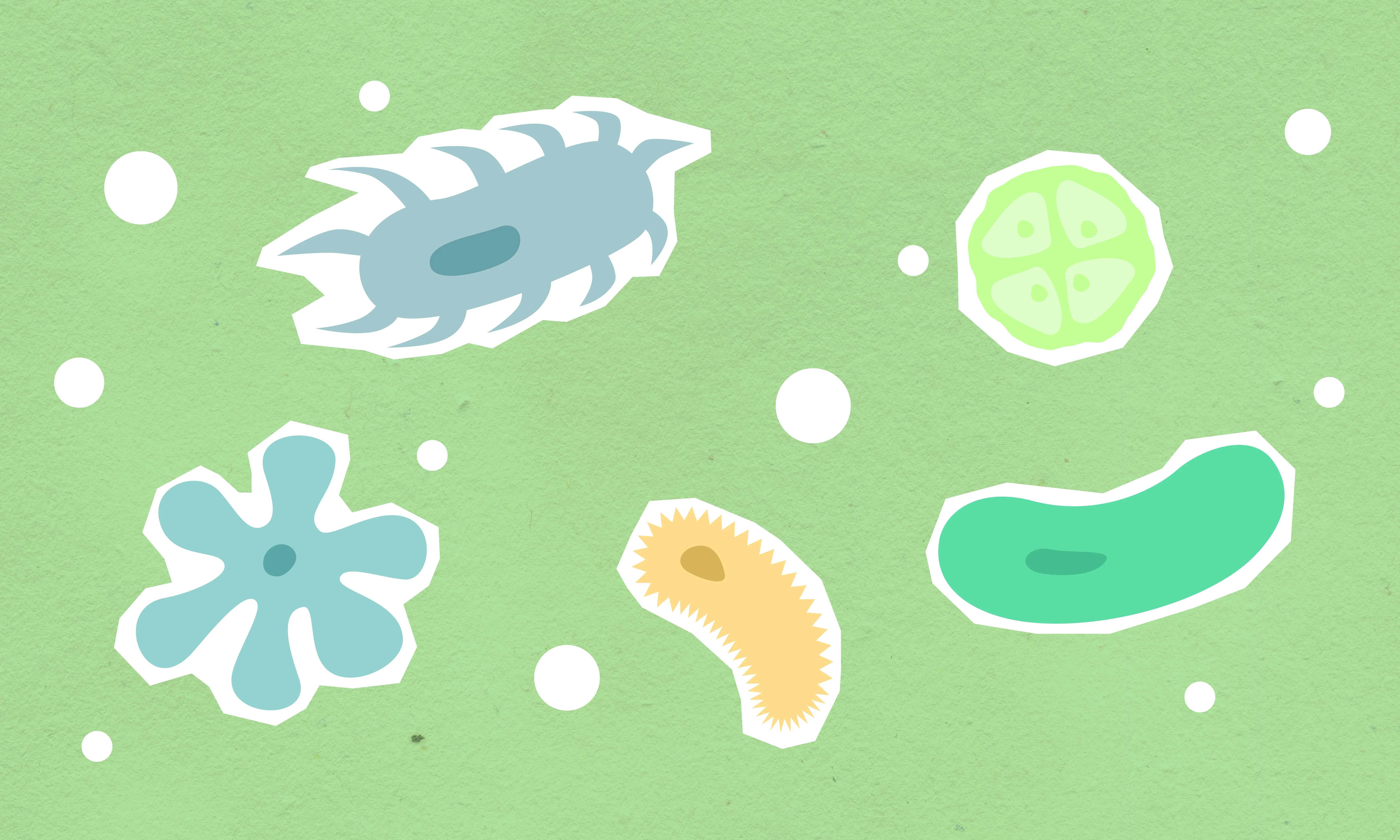 Il·lustració de microorganismes.