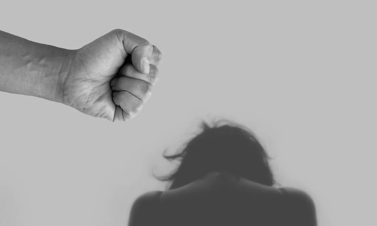  Des de la fundació, treballen amb supervivents que tenen dificultats per poder inserir-se en tots els àmbits de la societat, després d’haver patit violència masclista.