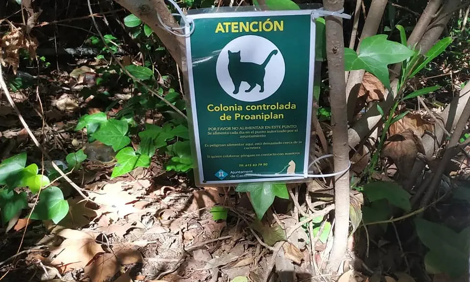 Cartell  punt d'alimentació gats