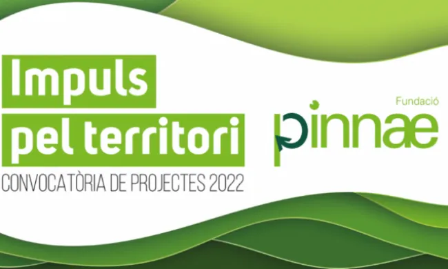 Webinar: Sessió informativa de la convocatòria 2022. Font: Pinnae.