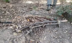 Exemple d'un tros de coberta vegetal malmesa al parc natural del Montseny. Font: Coordinadora per a la Salvaguarda del Montseny