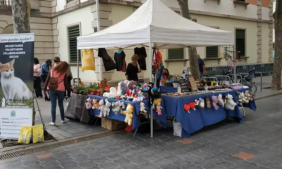 Punt d'informació Proaniplan
