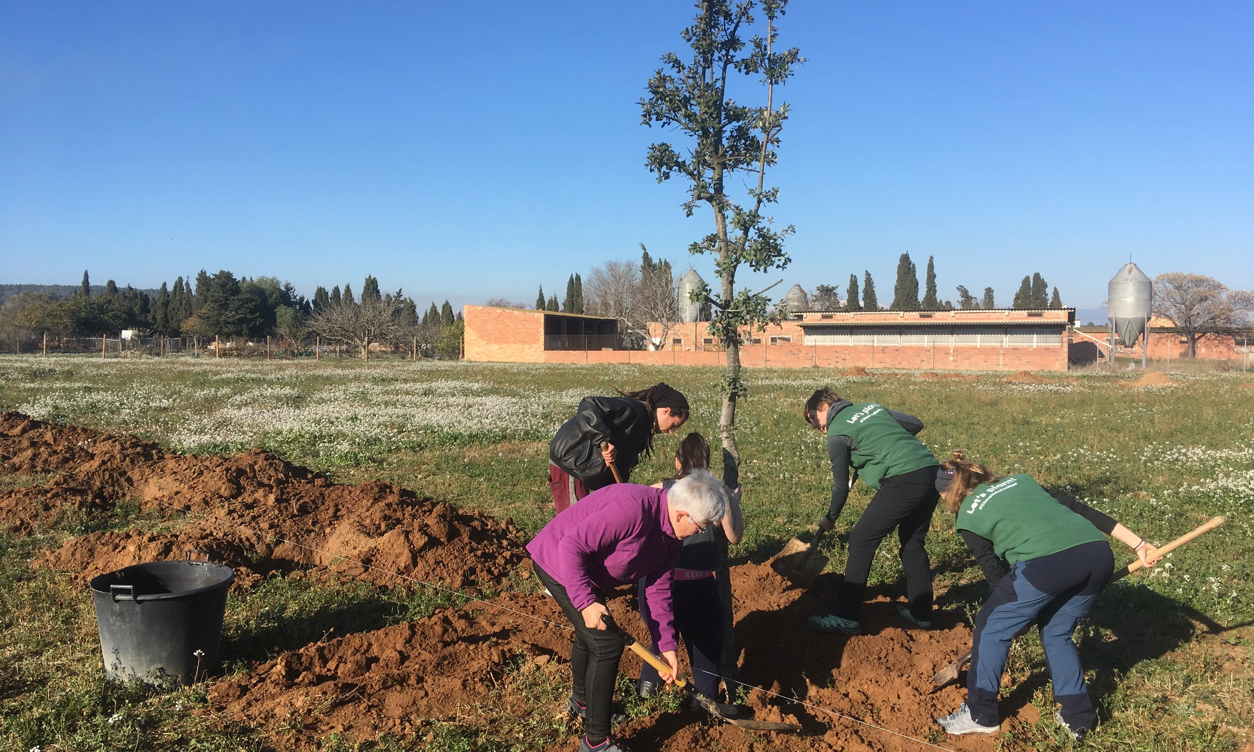Activitat de plantació d’una línia d’arbres amb voluntariat a Ventalló, Alt Empordà.