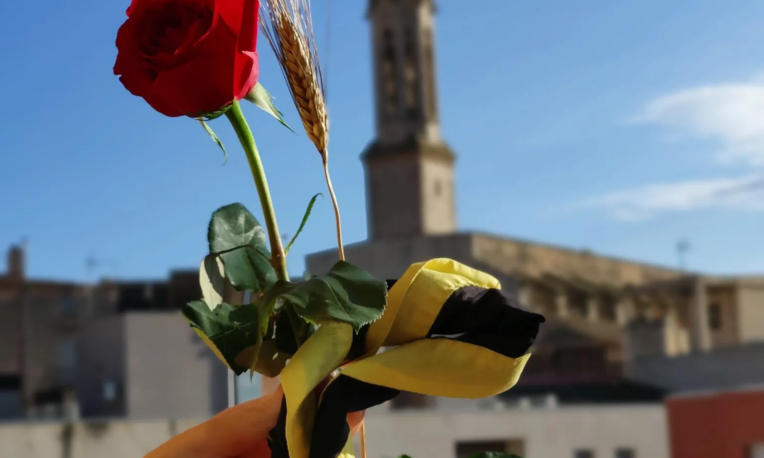 Una mà sosté una rosa i un fulard. Font: Minyons Escoltes i Guies de Catalunya