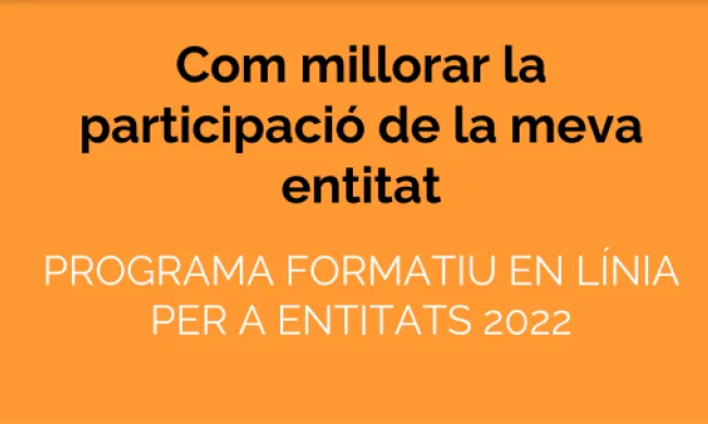 Curs: 'Com millorar la participació interna de la meva entitat'