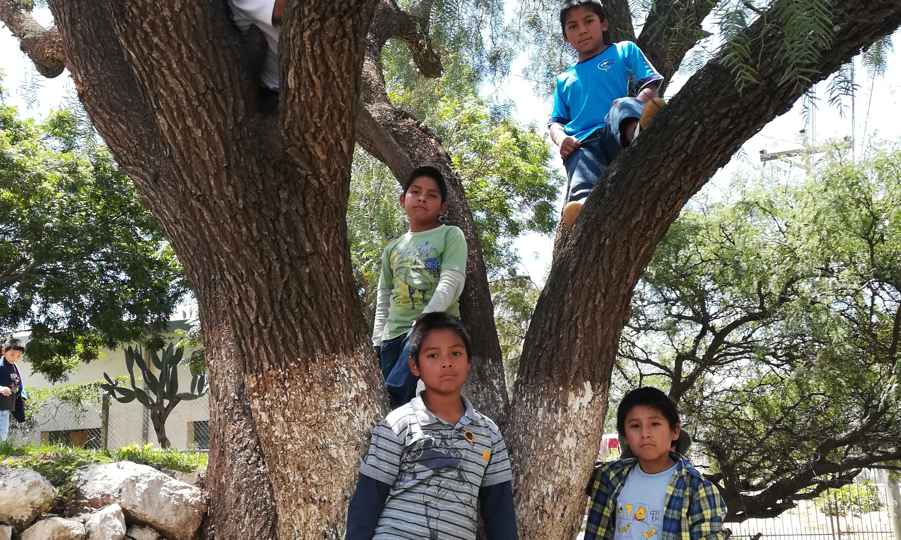 Uns dos-cents vint milions d’infants arreu del món creixen sense la seva família.