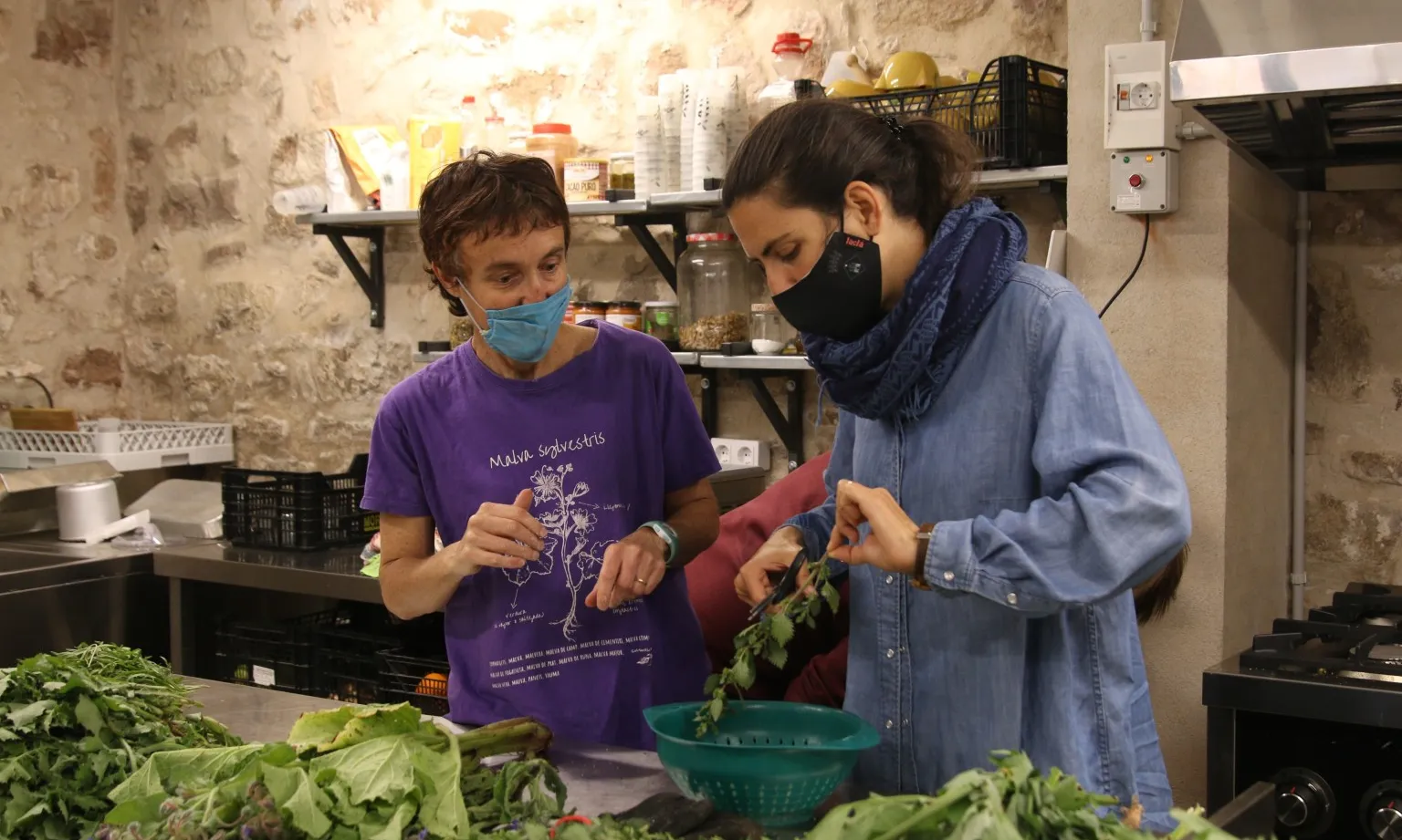 Les entitats ofereixen una gran diversitat d'activitats durant la Setmana de la Natura.