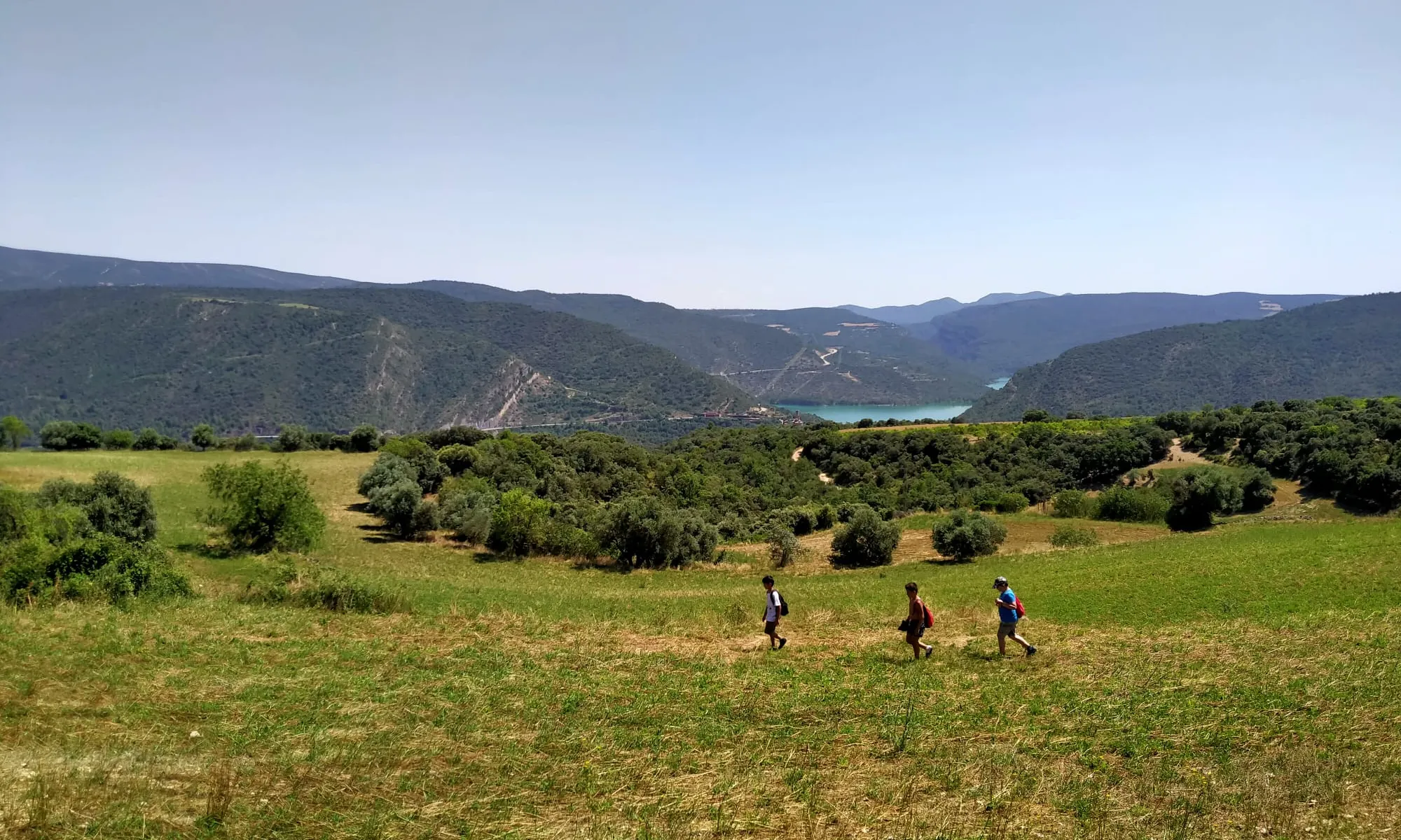 El 79% creu que és insuficient l’esforç per a la conservació de la biodiversitat.