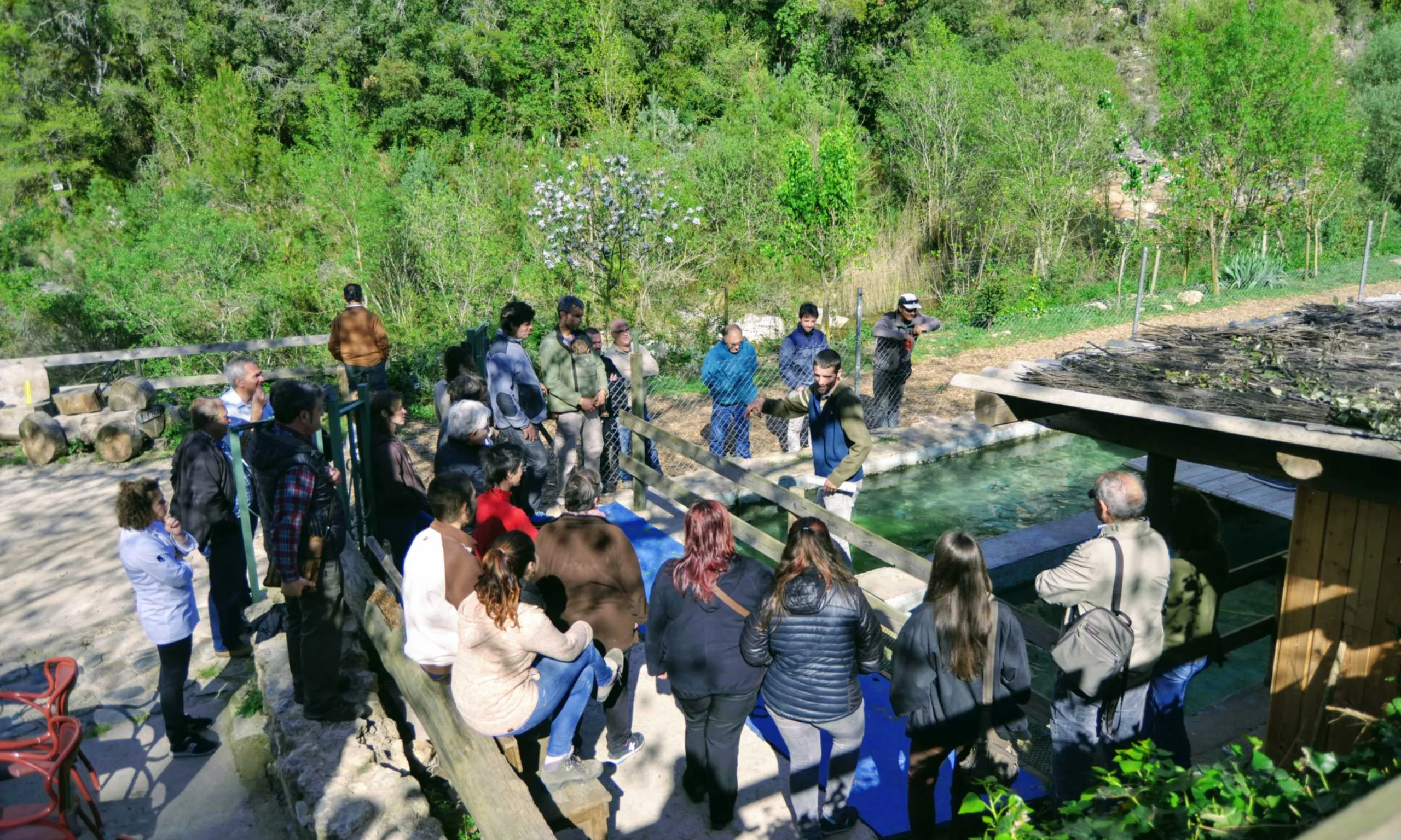 Des de Molí del Fort també ofereixen activitats d'educació ambiental, visites guiades al centre de fauna i rutes naturalistes.