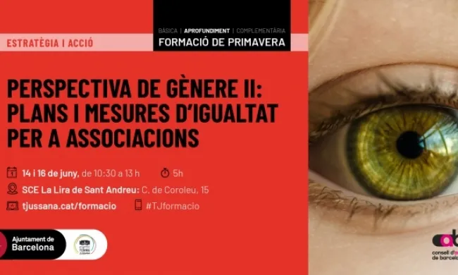 Perspectiva de gènere II: Plans i mesures d'igualtat per a les associacions