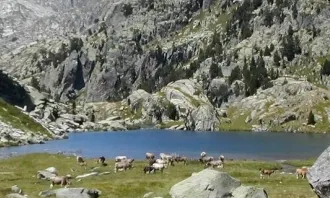 Subvencions a projectes d'investigació científica a la Xarxa de Parcs Nacionals, 2022