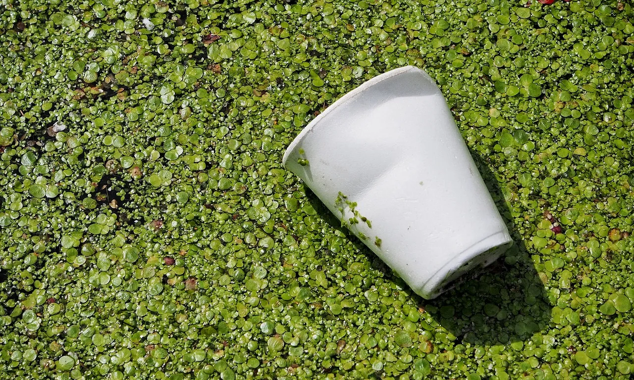 Cicle 'Consum i producció responsable, què podem fer?'