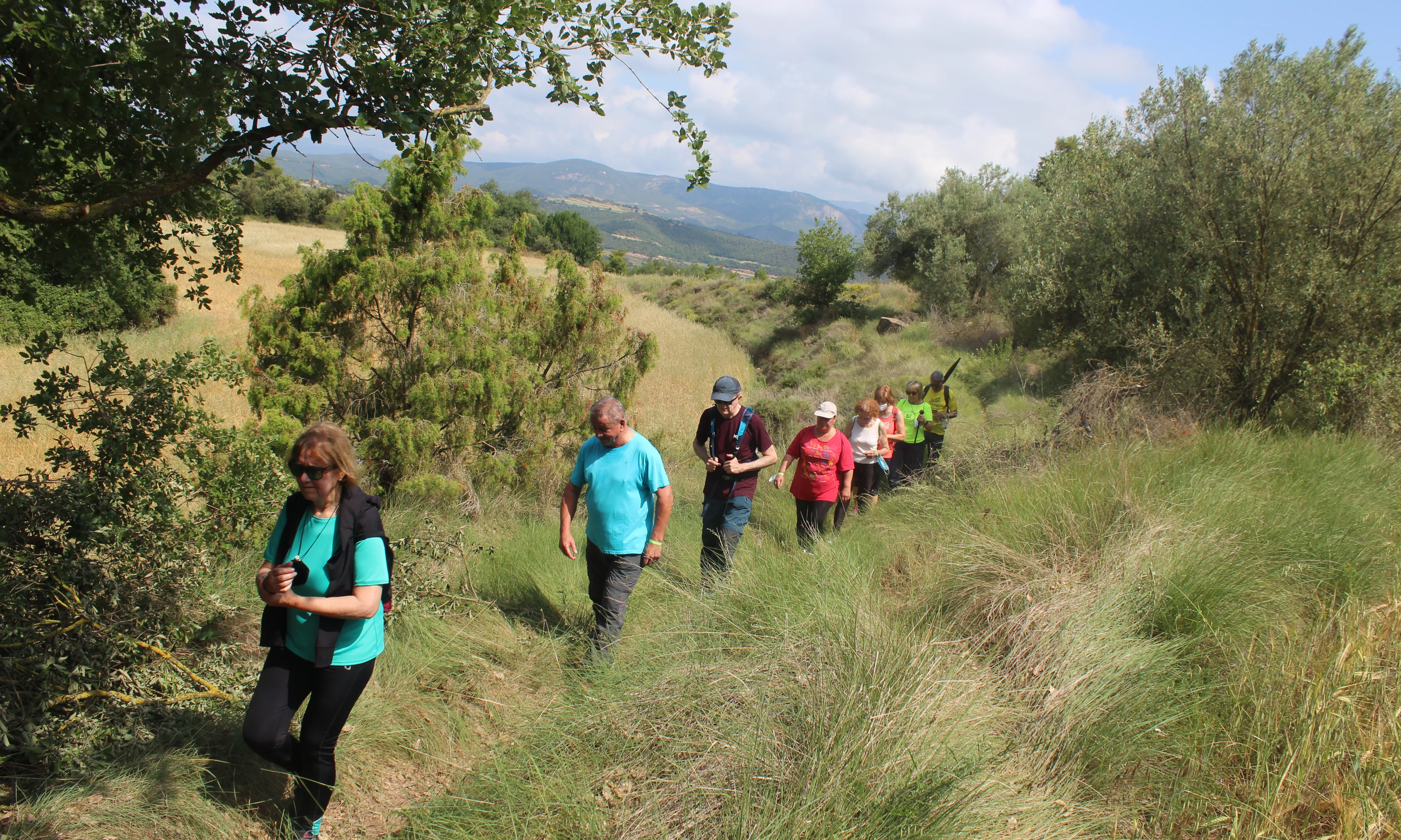Les sortides, excursions i itineraris guiats permeten a les participants conèixer la biodiversitat gaudint, alhora, de la natura.