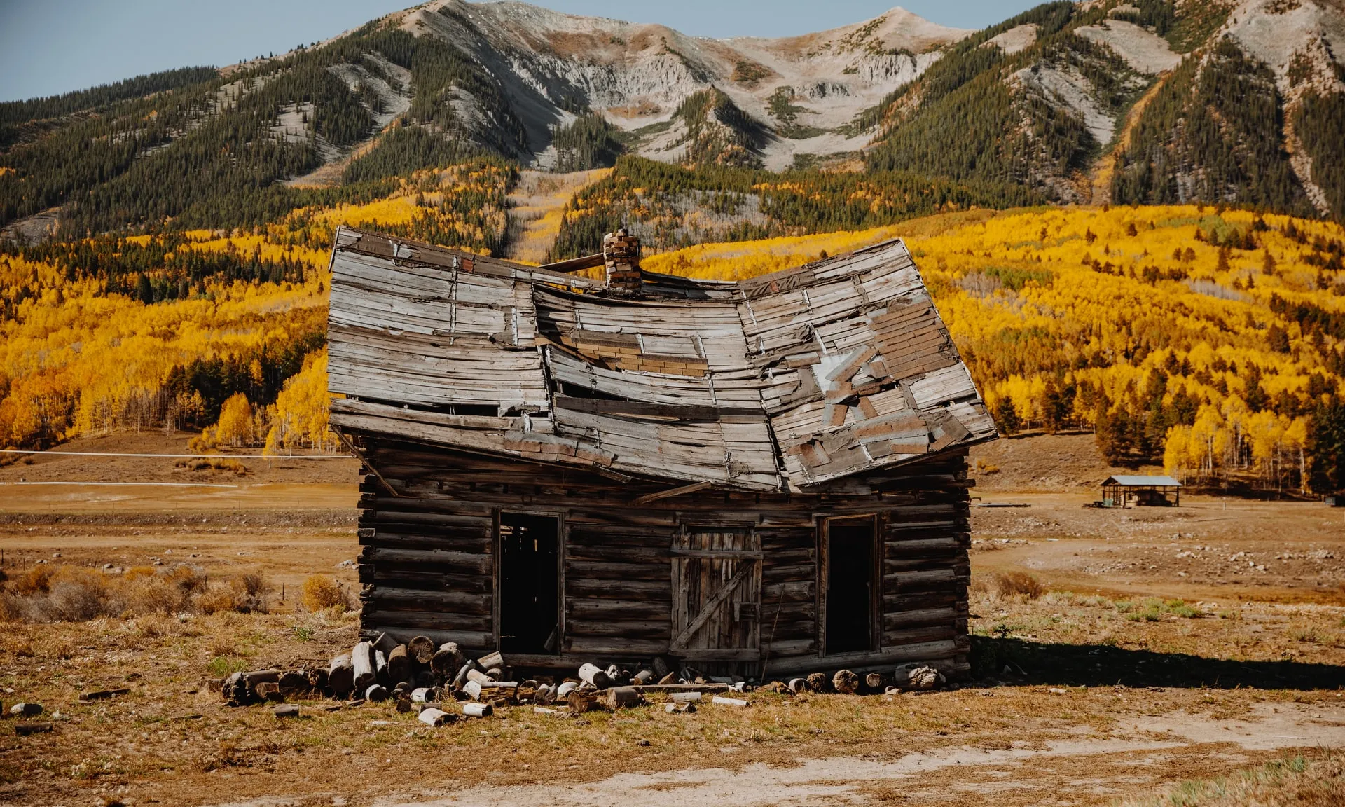 Foto de Taylor Brandon a Unsplash