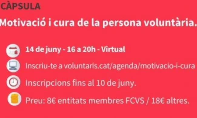 La formació virtual del 14 de juny de la Federació Catalana de Voluntariat Social (FCVS) dona claus de com cuidar les persones voluntàries. Font: FCVS