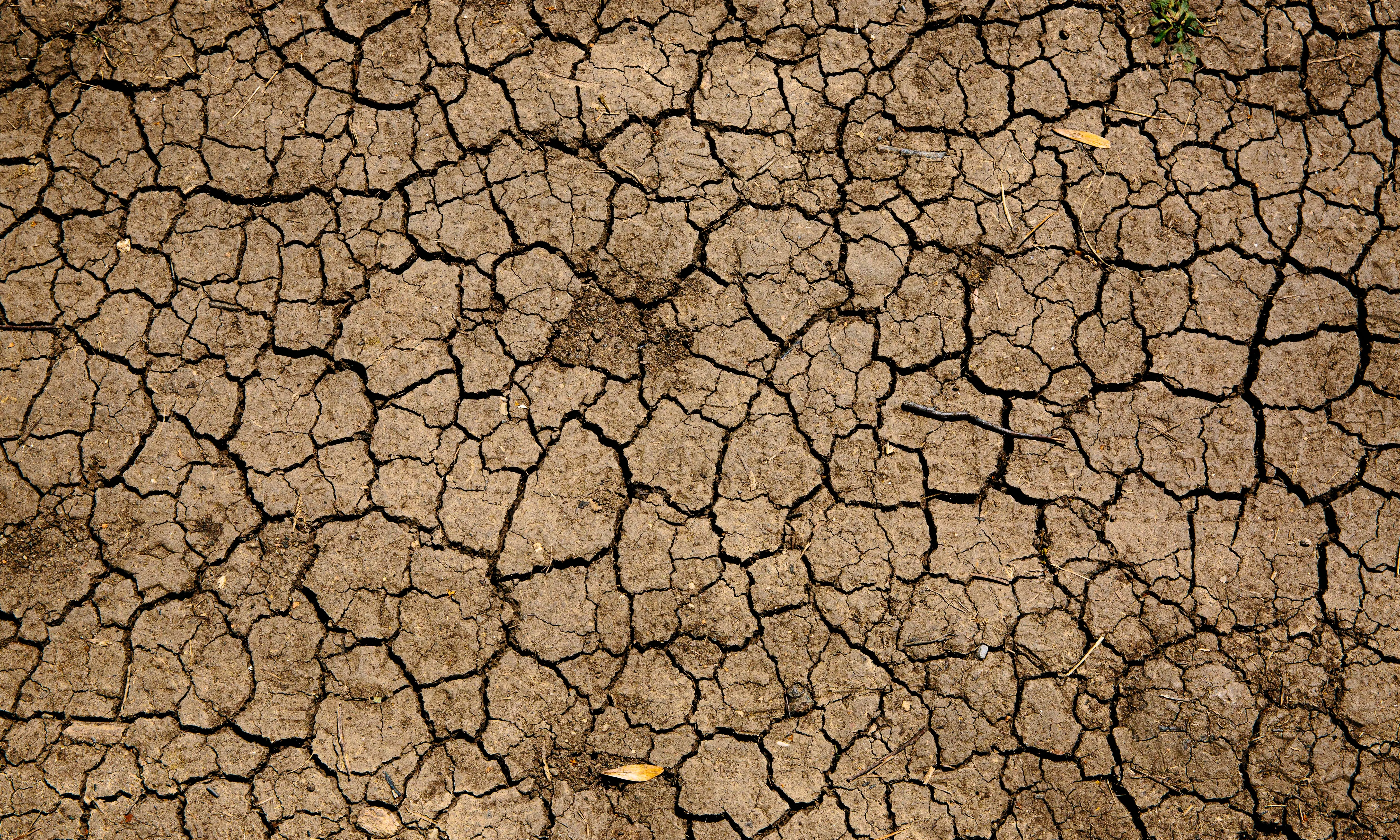 L'ONU calcula que el 2050, uns 200 milions de persones necessitaran ajuda humanitària a causa del clima extrem i els desplaçaments