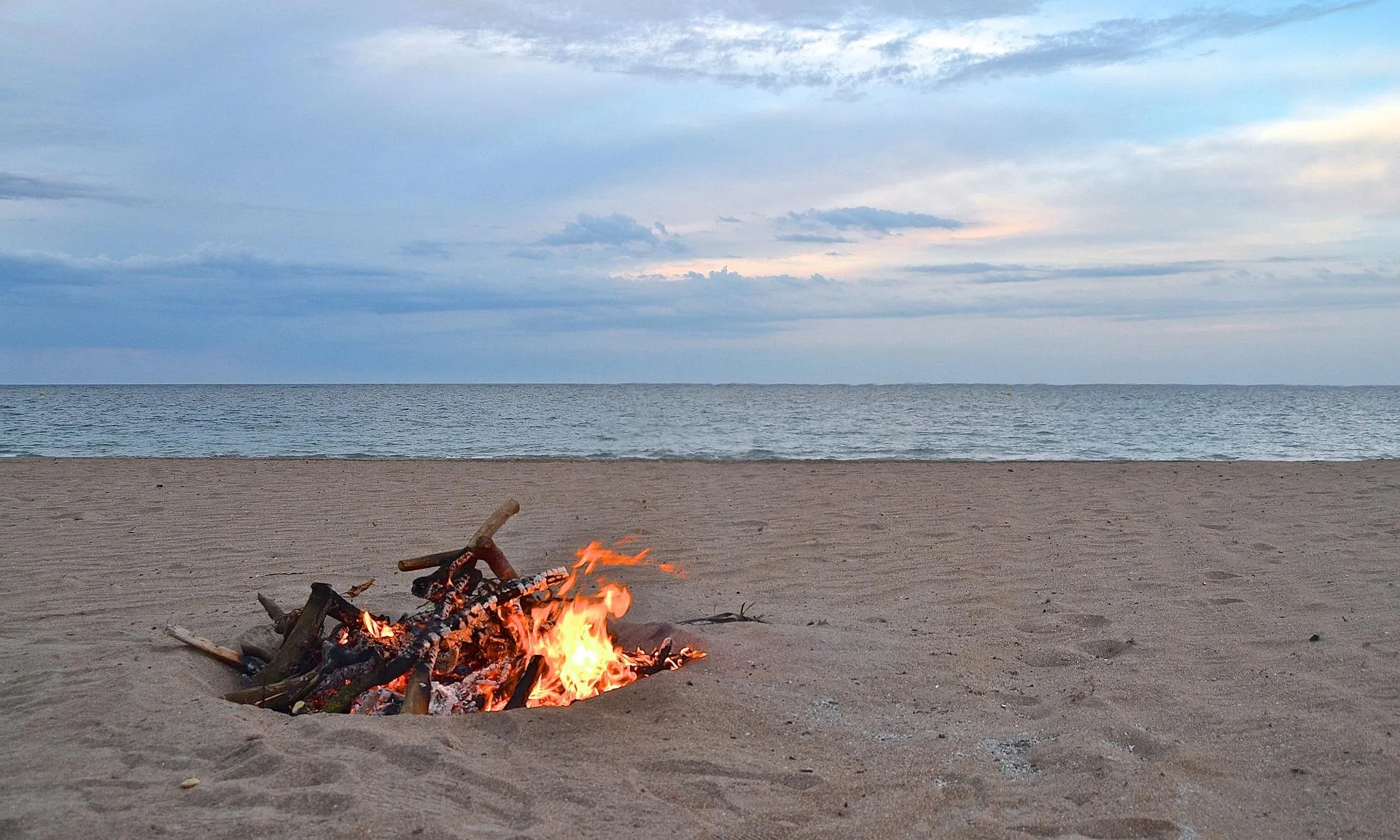 La música, els crits, els petards o el rebombori ocasionat per les persones que acudeixen a la platja el 23 de juny poden afectar espècies protegides.