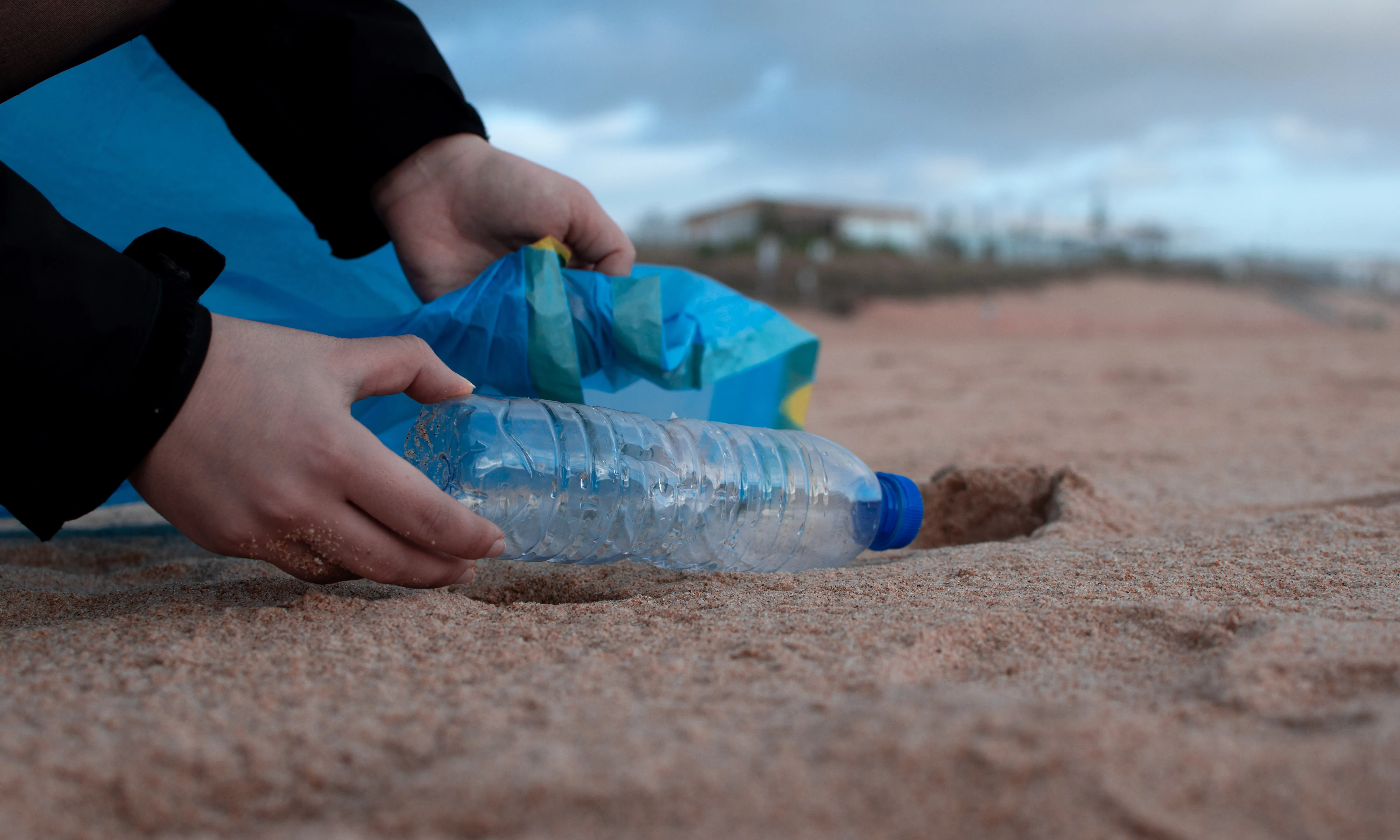 Gràcies a la col·laboració de voluntàries, han desenvolupat tasques de recerca i projectes de ciència ciutadana per estudiar els efectes del canvi climàtic.