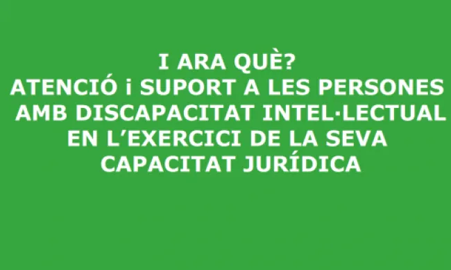 Formació: Suport i atenció a les persones amb discapacitat intel·lectual. Font: Dincat.