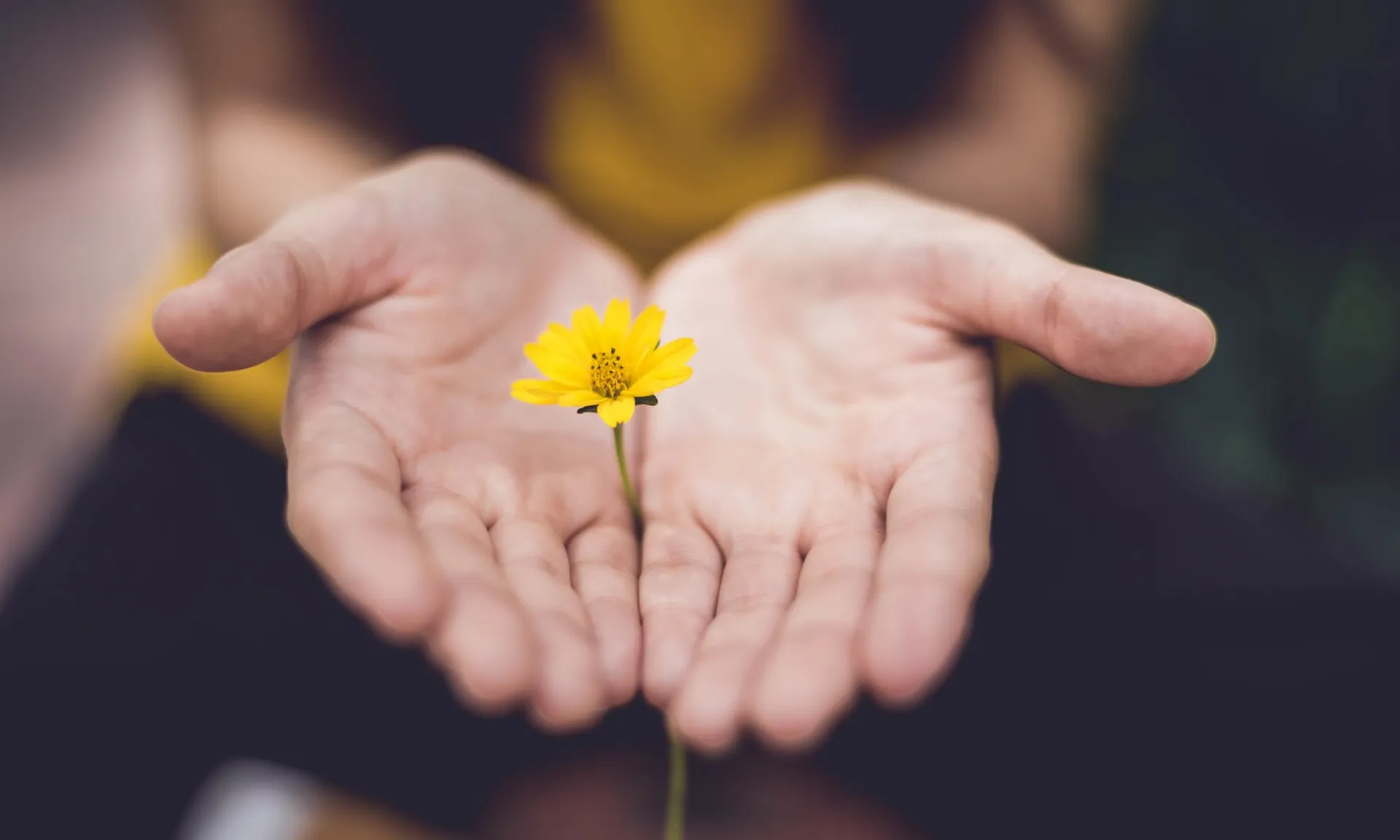 Foto de Lina Trochez a Unsplash Foto de Lina Trochez a Unsplash