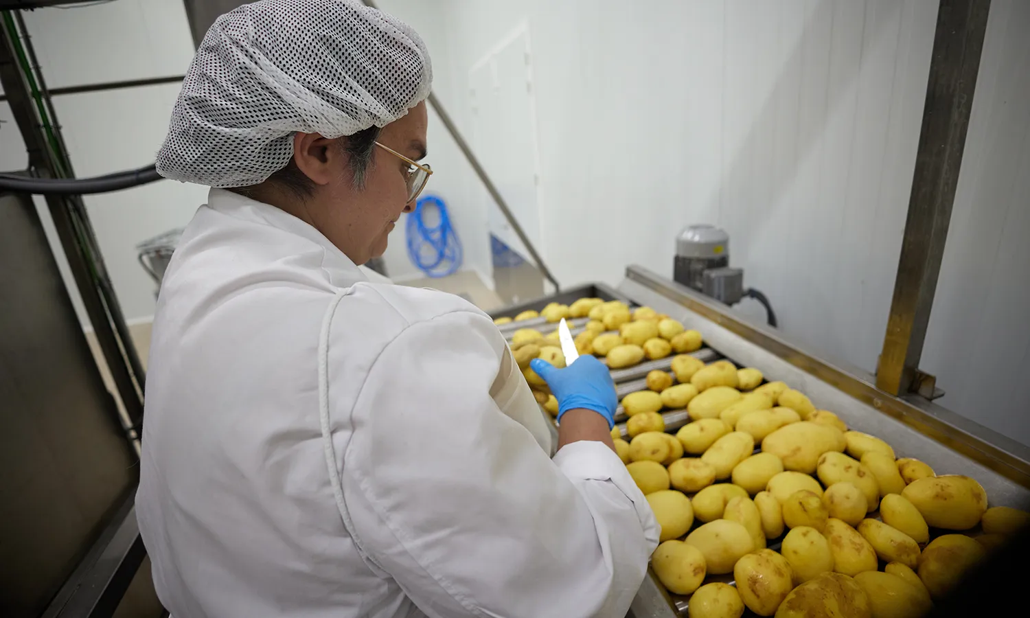 L'Olga, treballadora de Sant Tomàs, talla i neteja les patates per elaborar les xips.