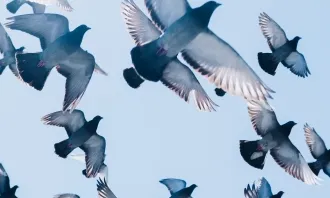 Foto de Zac Ong a Unsplash Foto de Zac Ong a Unsplash