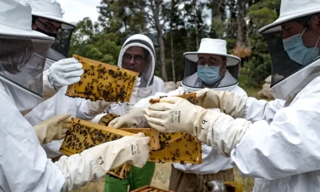 Fotografia que il·lustra el que es durà a terme a l'activitat familiar 'Cultura ecològica per a famílies'. Font: Museu Vida Rural