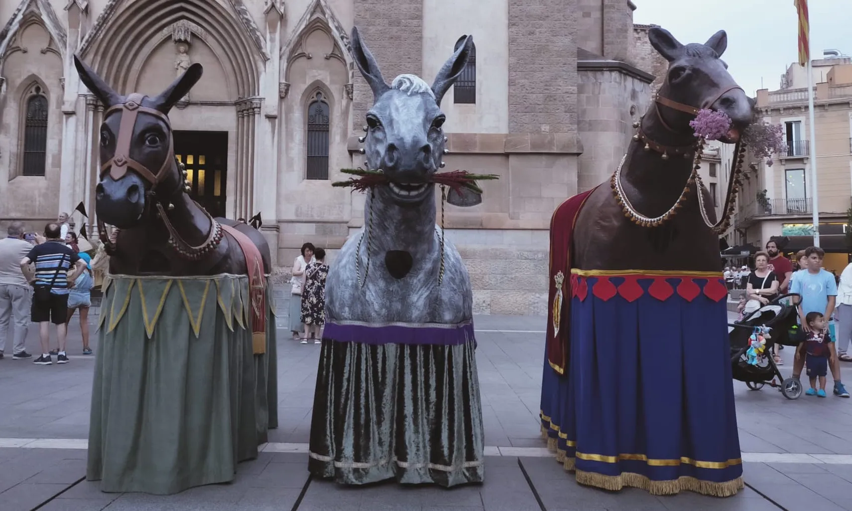 La Mulassa es caracteritza per ser la seva bogeria, simpatia i les ganes de jugar amb el públic.