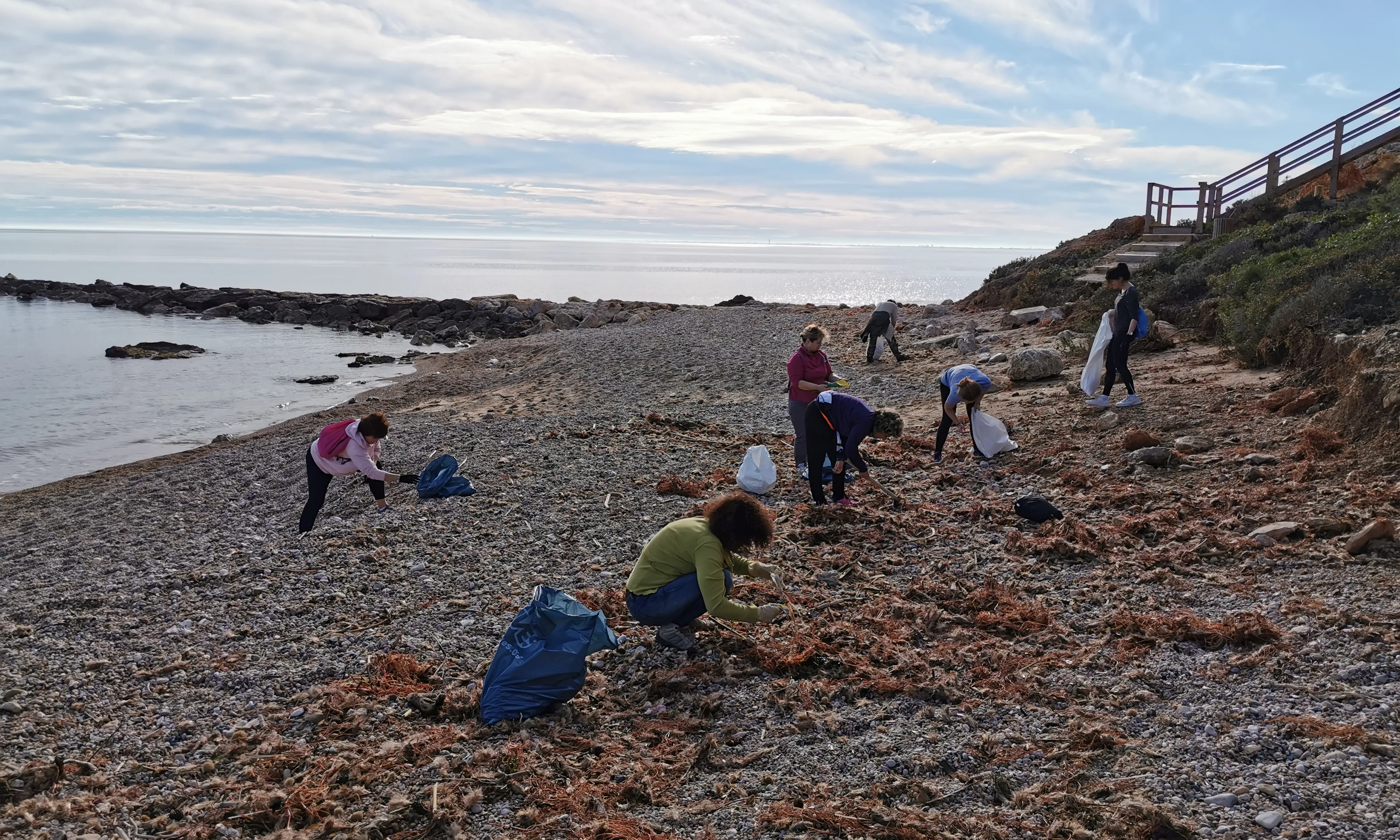 Recollida de residus organitzada per PlasticFreeWave a la platja del Perelló.