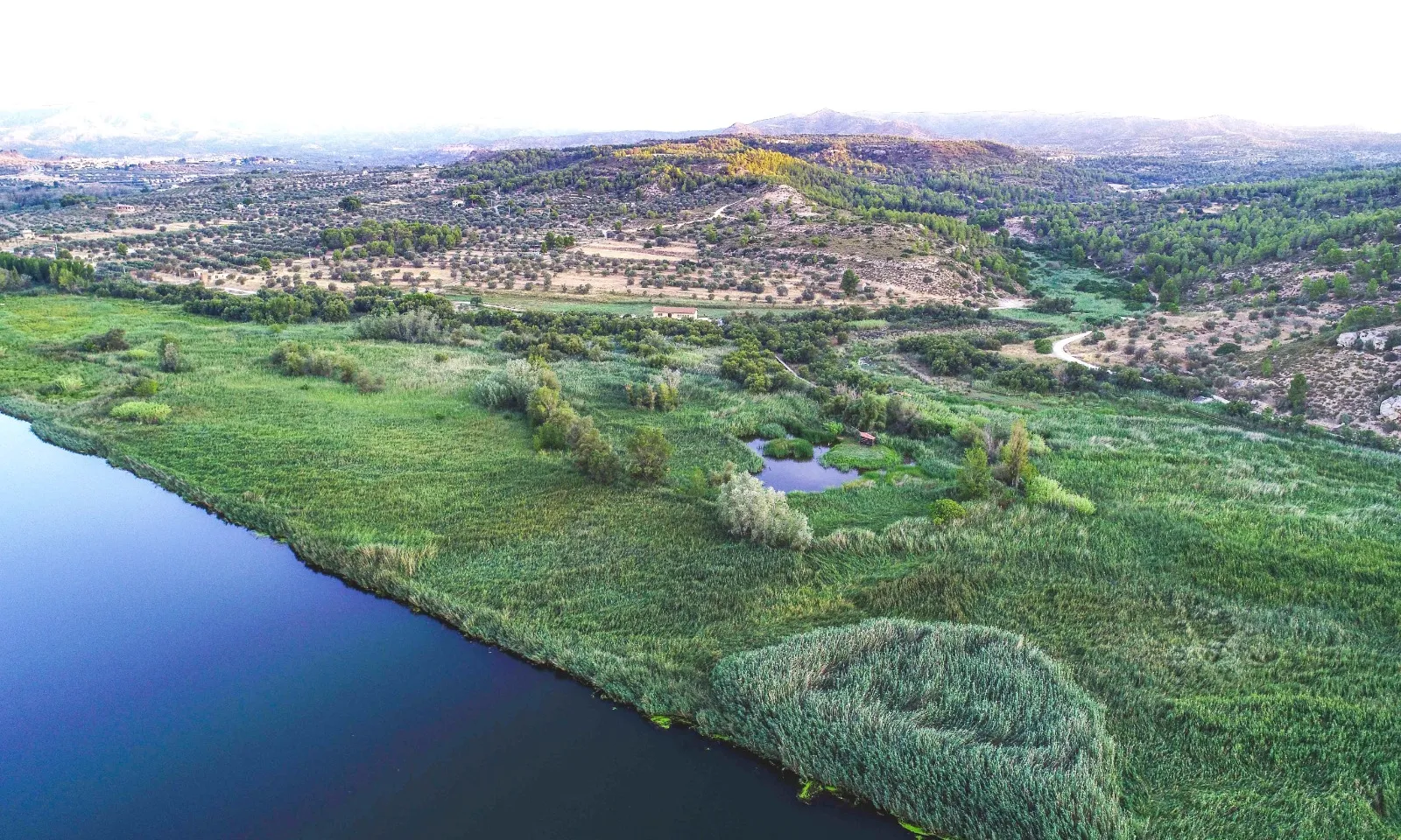 Amb la finalitat principal d’adaptar el tram final del riu Ebre al canvi climàtic, el Grup de Natura Freixe col·labora en el projecte ‘Fluviatilis'.