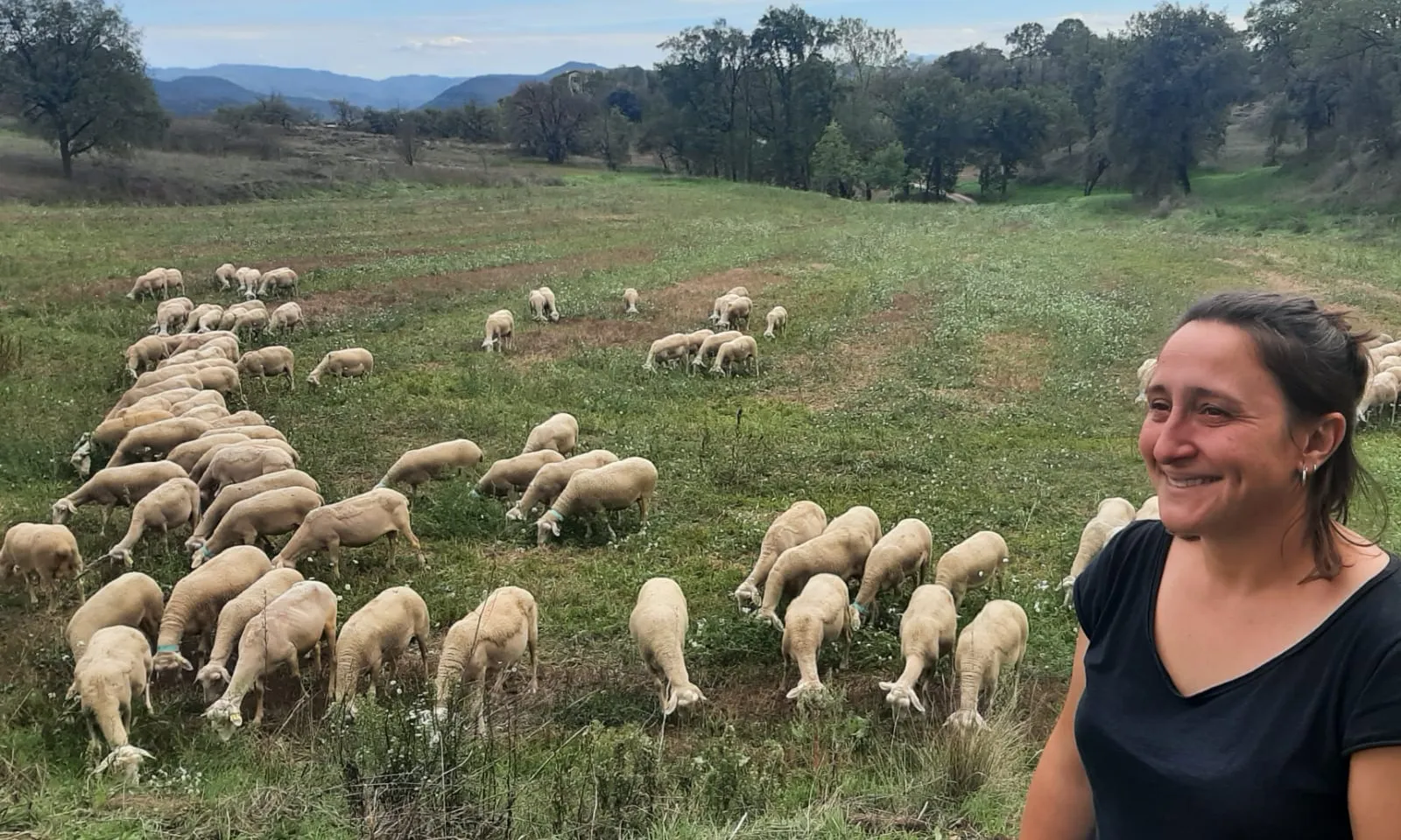 Una de les iniciatives de la qual forma l'Aina Roca gestiona un ramat d'ovelles.