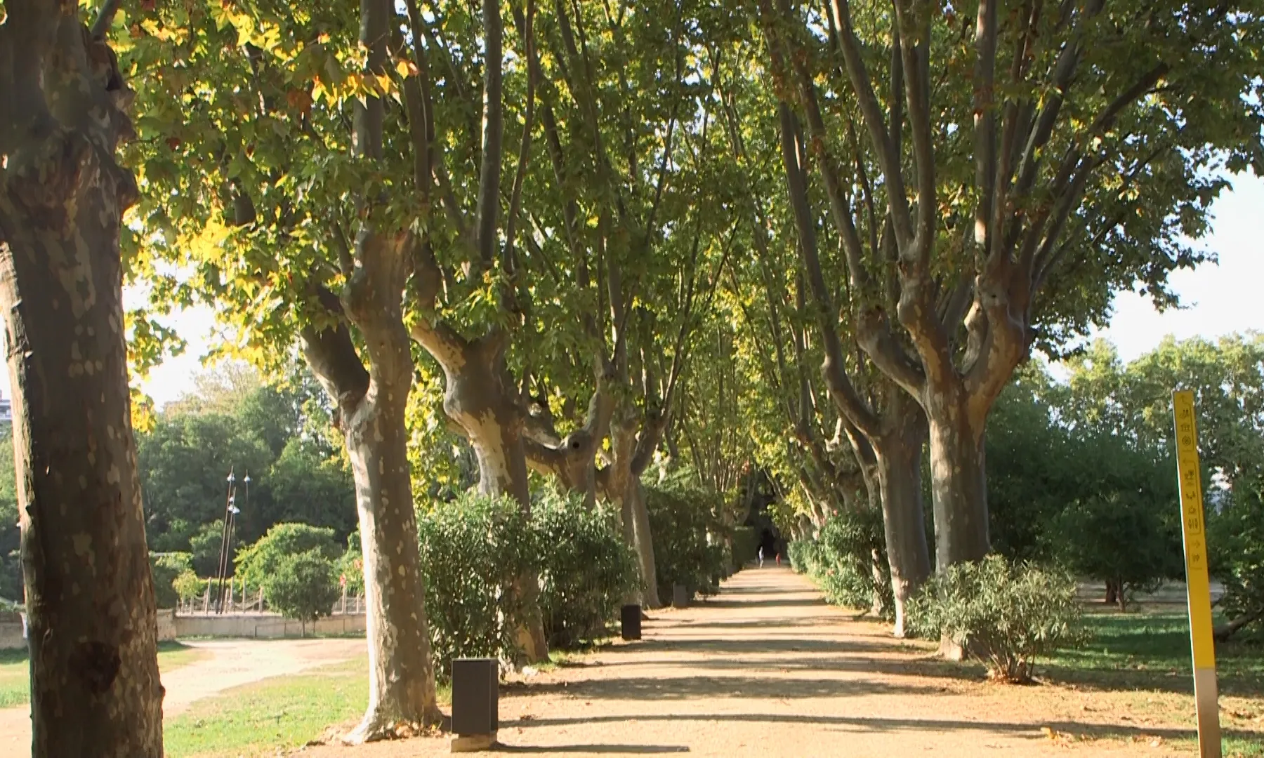 Entrada al parc Can Solei i Ca l'Arnús pel carrer Sant Bru, zona en la qual es pretén edificar els dos blocs de pisos i el vial.