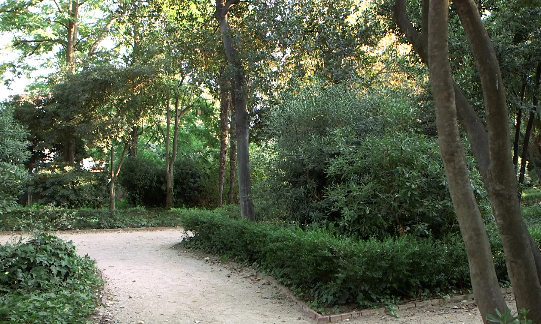 El parc de Can Solei i Ca l'Arnús és un espai representatiu del barri, una zona de refugi climàtic i un espai concorregut per infants, gent gran... considerat el pulmó de Badalona.