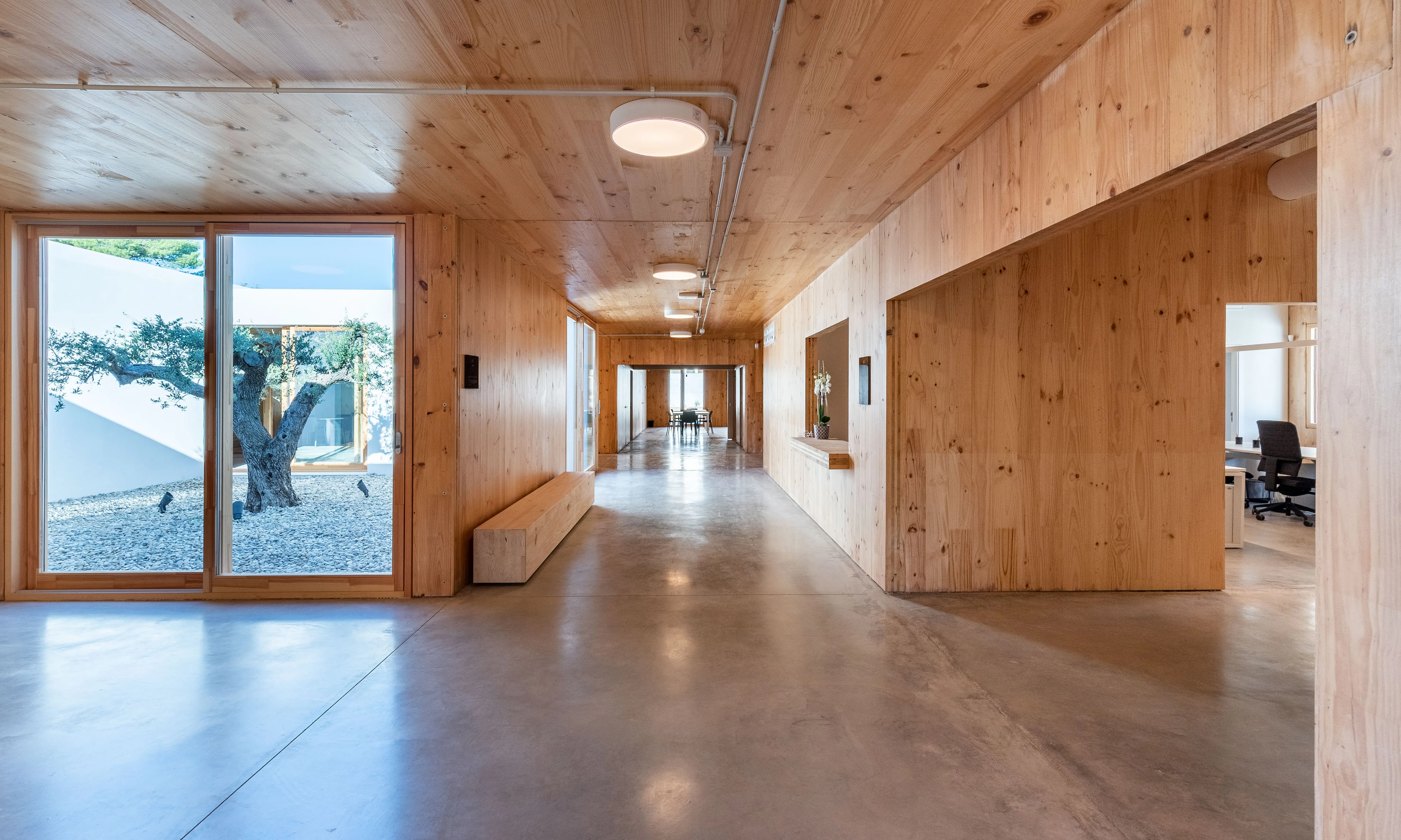 Oliva destaca la calidesa i la lluminositat d'un espai en el qual han col·laborat un estudi d'arquitectura i una paisatgista, entre altres.