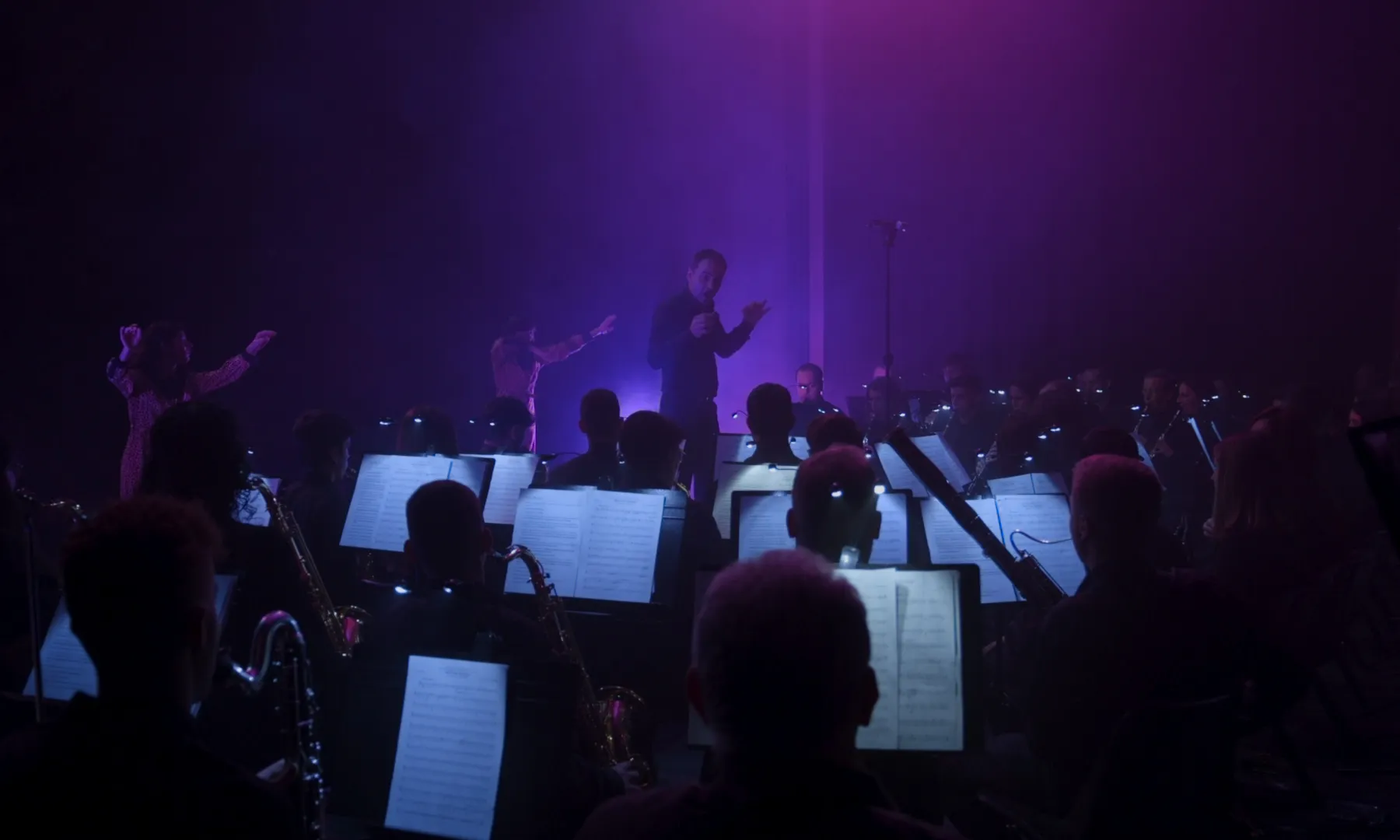 Banda de Música de l’Agrupació Musical Senienca “Amb veu de dona”
