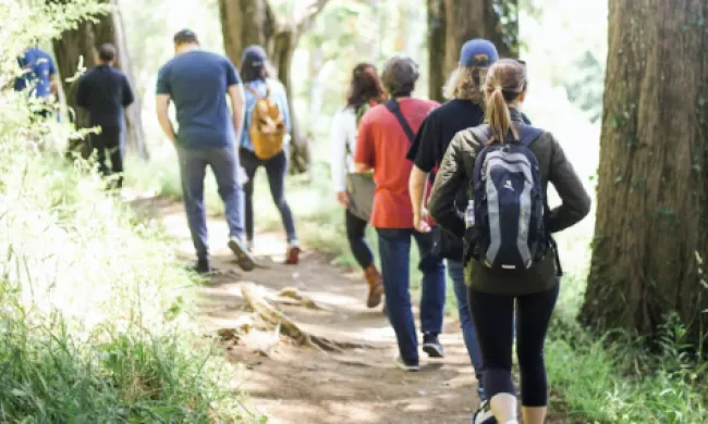 Persones en una caminada per una zona de natura. Font: Llicència CC Unsplash