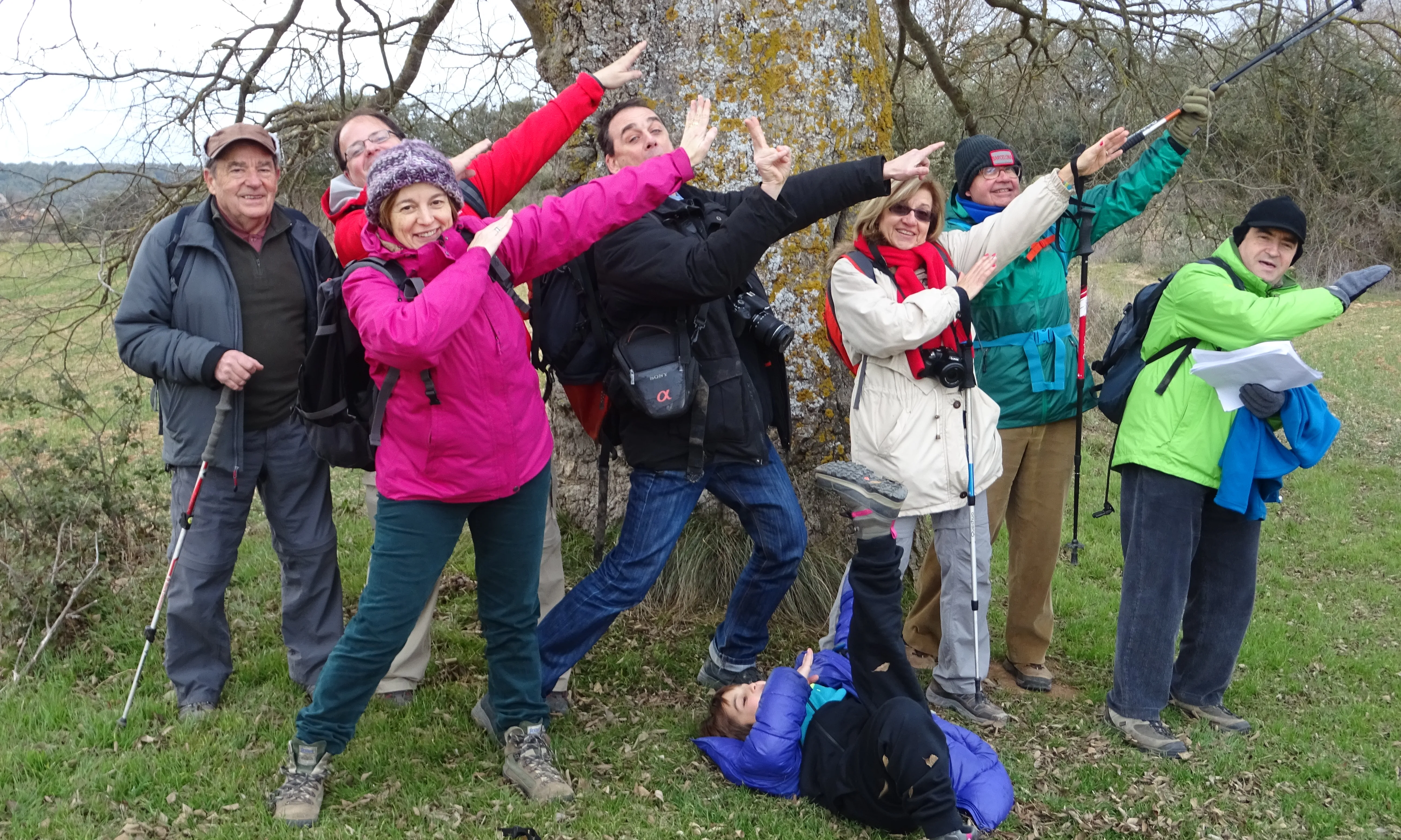 L'agrupació compta amb diferents seccions: una d'elles és la de Muntanya, encarregada de programa visites culturals guiades per diferents indrets de Catalunya.