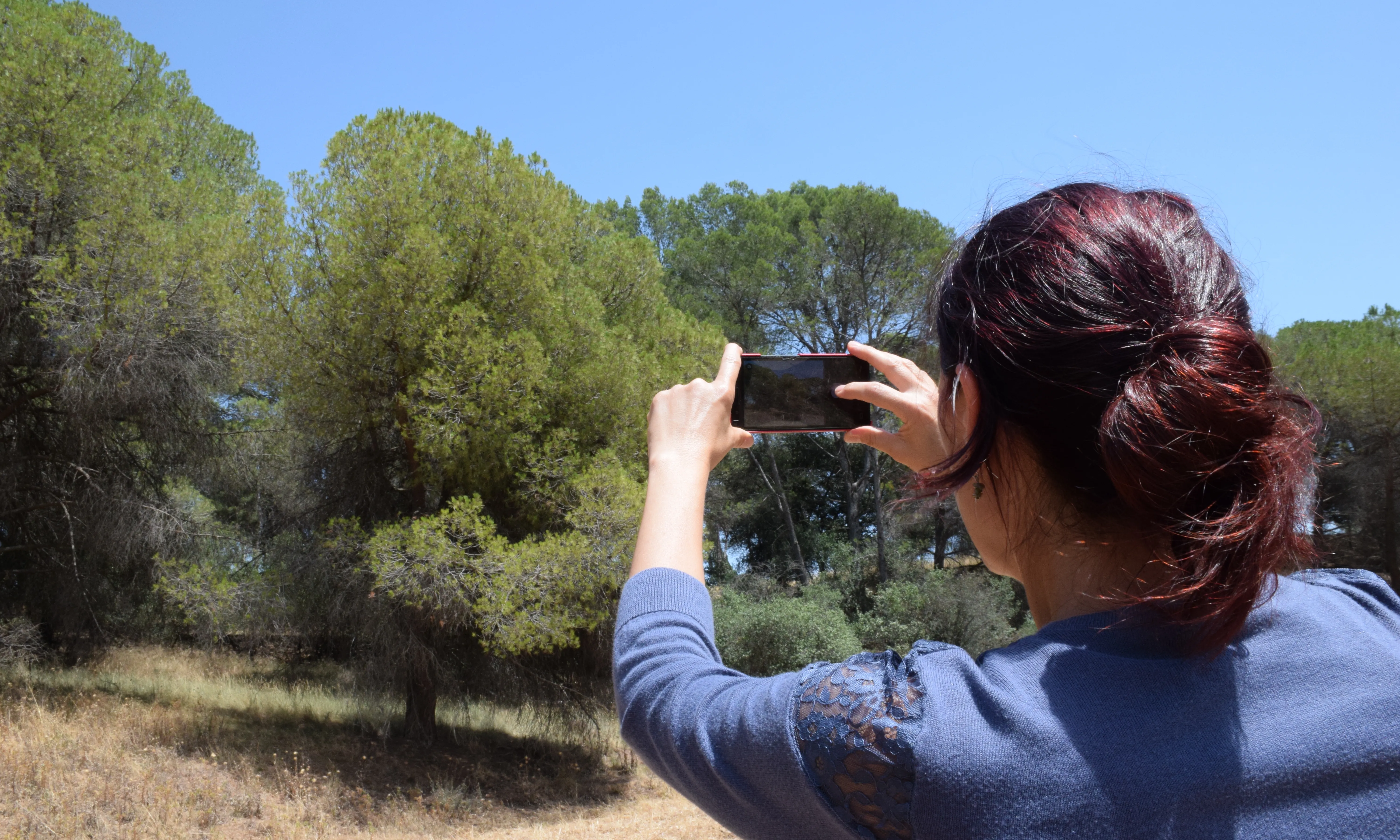 Els beneficis per a la ciutadania de participar en projectes científics és l'empoderament i l'adquisició de coneixement i consciència de l'entorn que ens envolta.