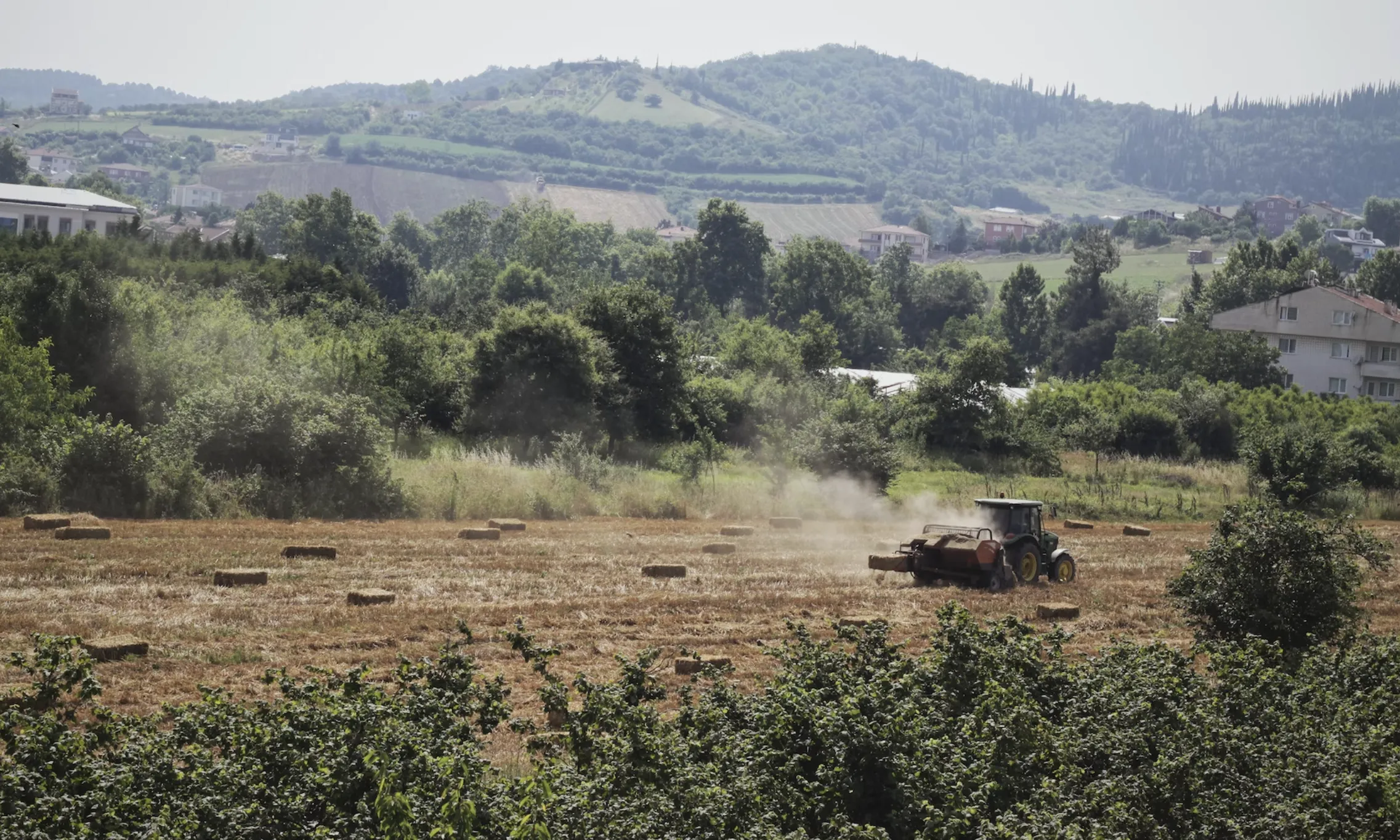 La majoria de la població de zones rurals és envellida, està a l'atur o amb feines precàries, o presenta més dificultats econòmiques.