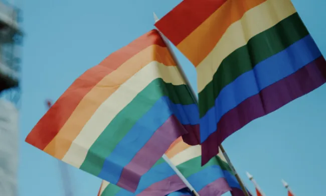 Bandera del col·lectiu LGTBIQ+ en representació dels tallers d'autodefensa i antiagressions LGTBI. Font: Llicència CC Unsplash