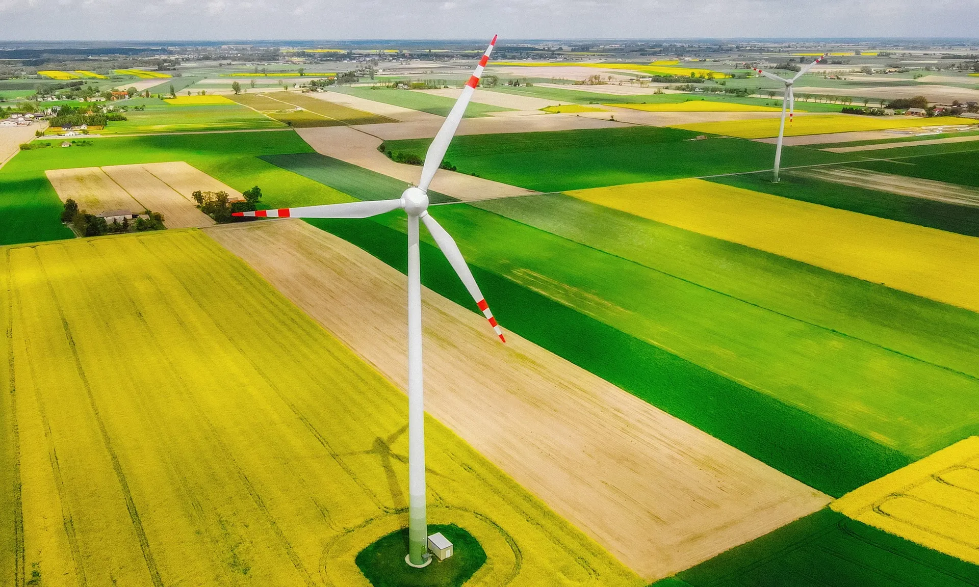 L'alfabetització climàtica és un gran repte social que poden canalitzar els moviments socials ecologistes.