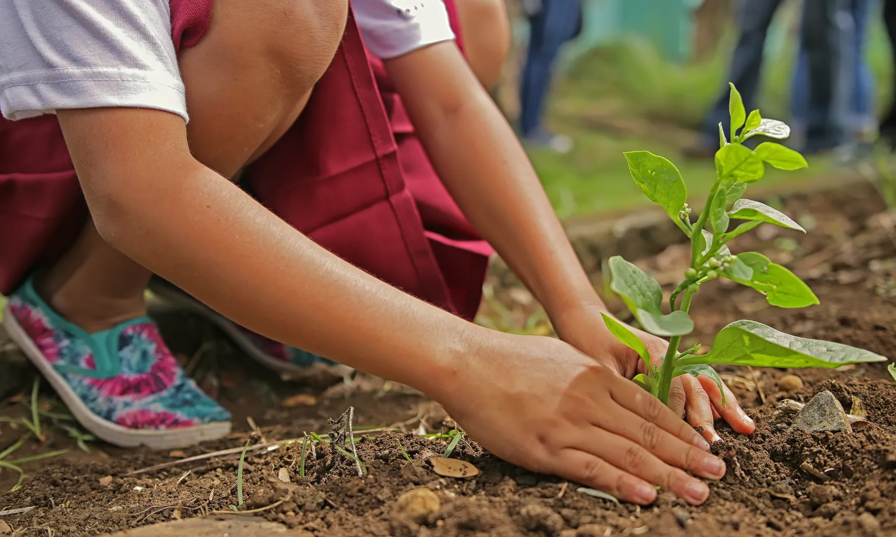 Beneficis registre entitats mediambientals