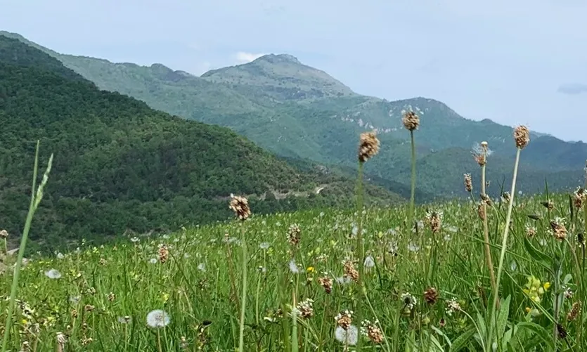 La voluntat és la de tenir els estatuts redactats a principis del 2023, i tenir operativa l'Agència de la Natura abans d’acabar la legislatura.