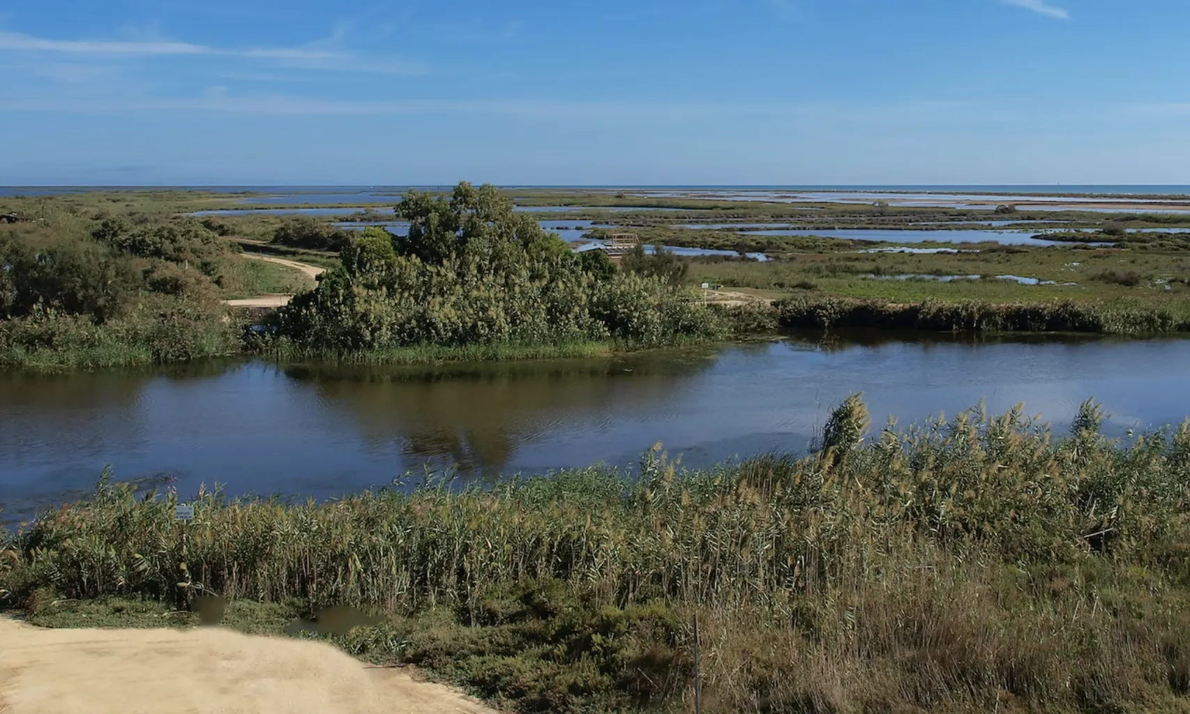A Catalunya, la zona productora d'arròs és el Delta de l'Ebre i aquest any s'han fregat les cent vint-i-dues mil tones d'arròs recol·lectat.