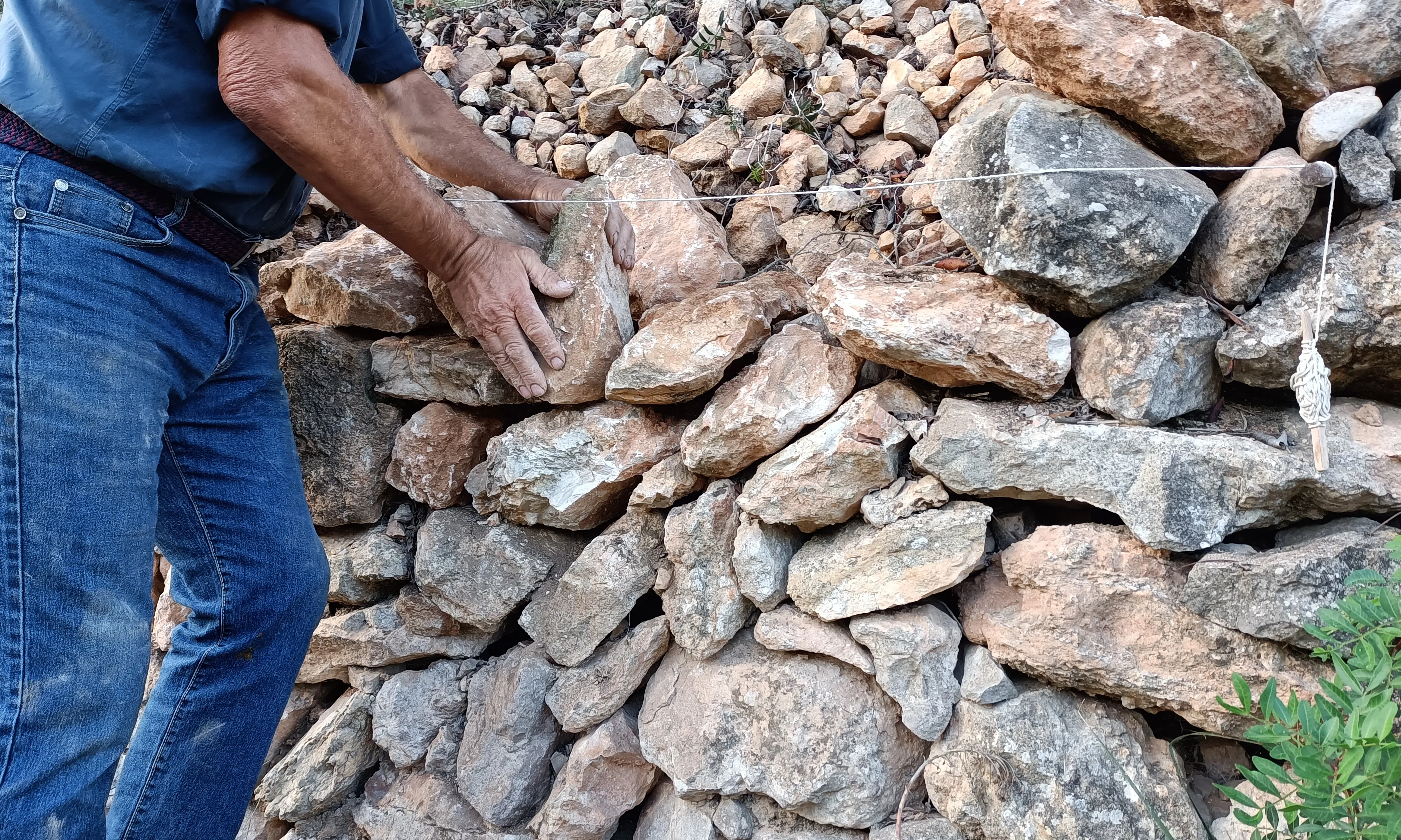Marge de pedra seca al camí de Mas d'en Vives, al Baix Penedès.