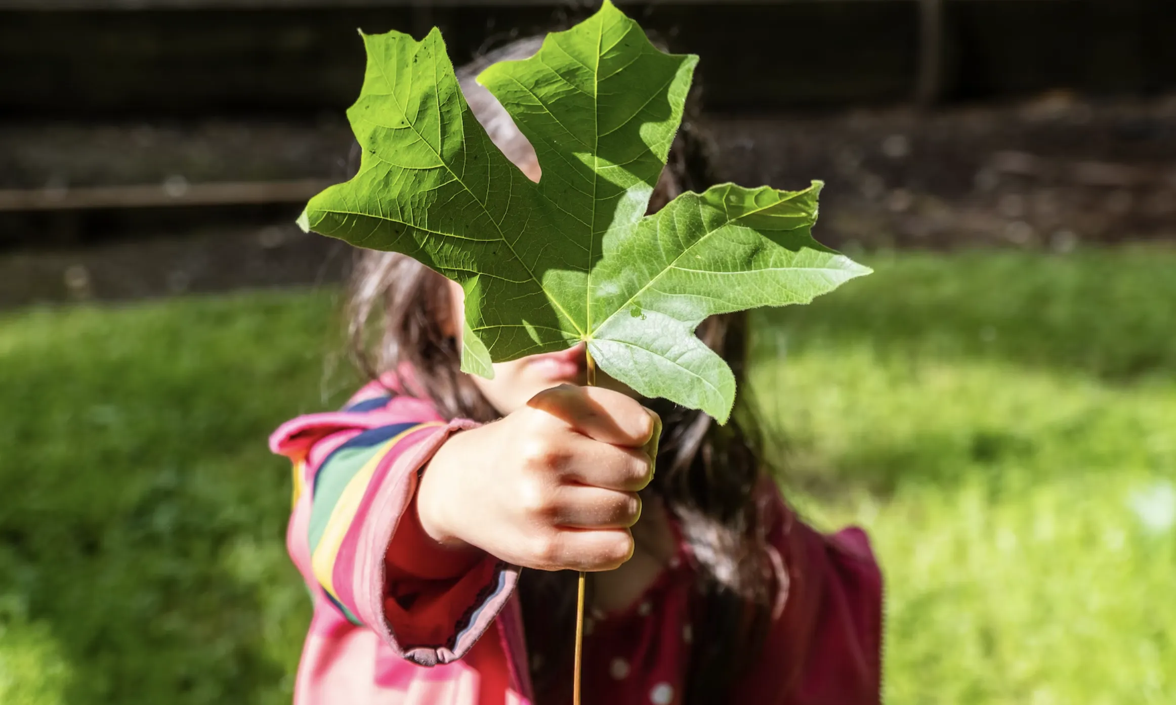 La guia busca plantejar un seguit d'activitats per a l'alumnat de primària i secundària per fomentar l'aprenentatge sobre el canvi climàtic i les seves conseqüències.