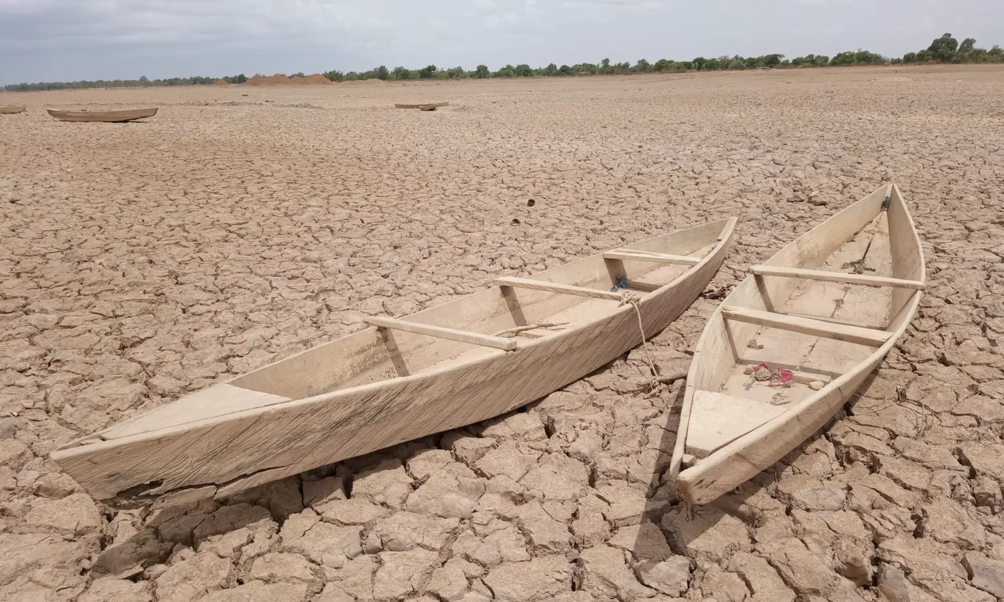 La migració d’un gran nombre de persones arreu del planeta és provocada per la crisi mundial de l'aigua, causada, entre d'altres, per les accions humanes.