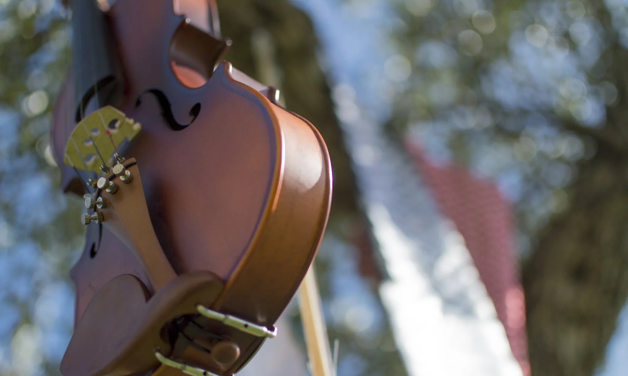 Del 24 al 27 de novembre, en el marc de la tercera fase del programa, se celebren quatre concerts a Catalunya per apropar la música àrab-palestina.