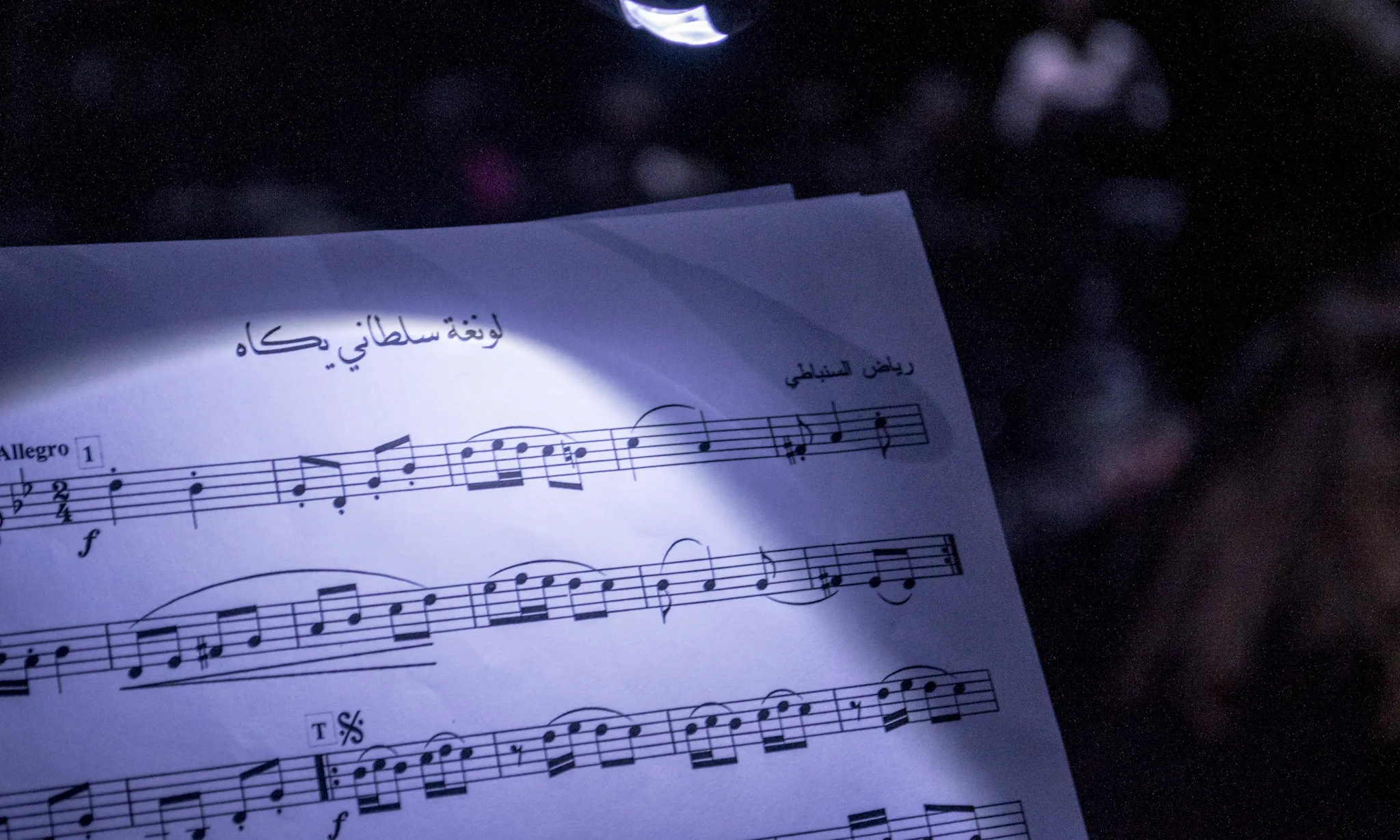 Amb l'art com a eina de reivindicació i denúncia, el programa pretén apropar a la societat catalana la situació de repressió que viu Palestina.